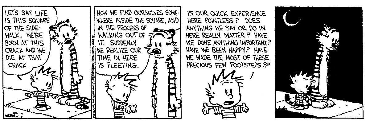 Calvin-gets-existential